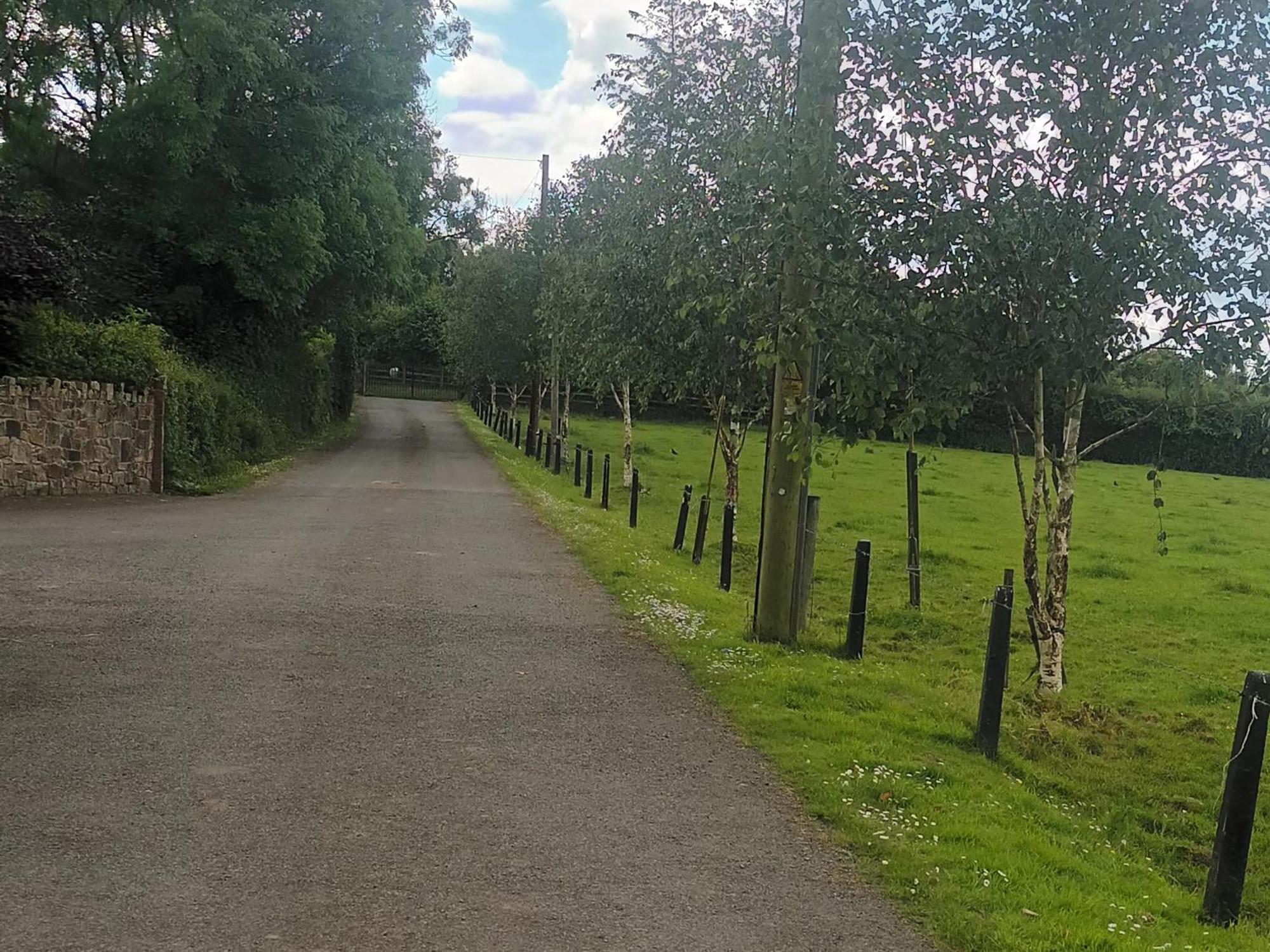 Birdhill Farmhouse Tipperary Buitenkant foto